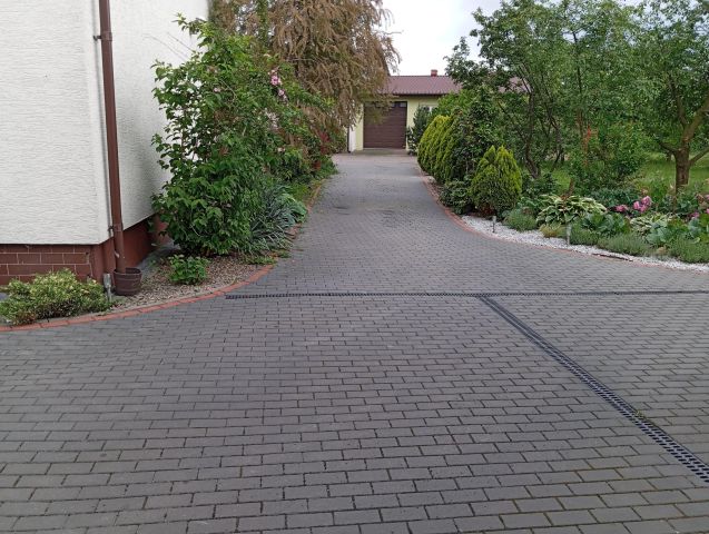 Nieruchomość komercyjna Osiecza Pierwsza. Zdjęcie 2