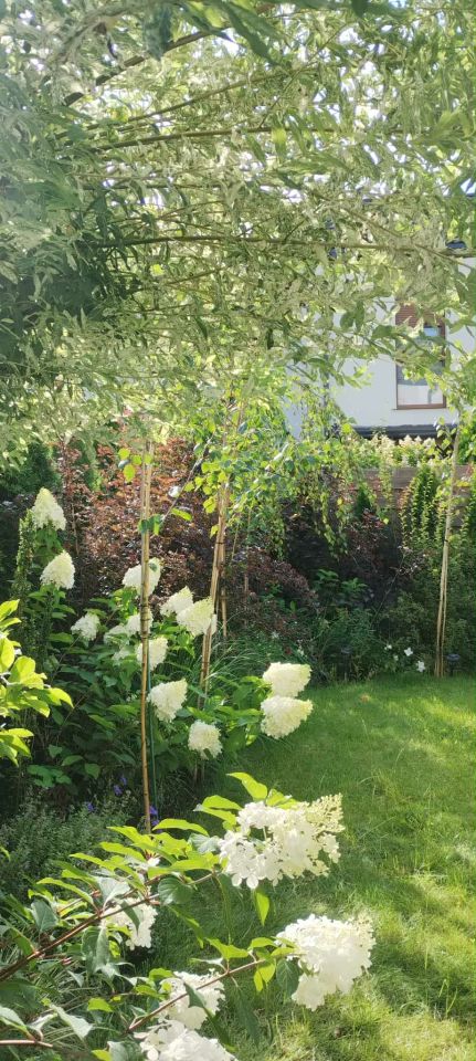 dom szeregowy, 5 pokoi Smolec, ul. Jagodowa. Zdjęcie 21