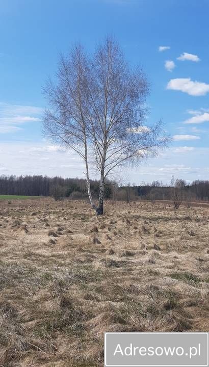 Działka rolna Brzóza. Zdjęcie 3