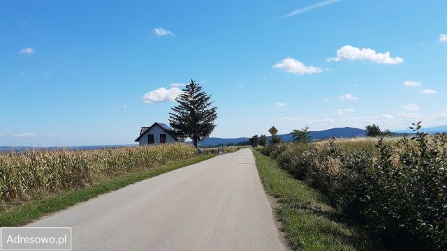 Działka budowlana Jemna, Jemna 82/7. Zdjęcie 1