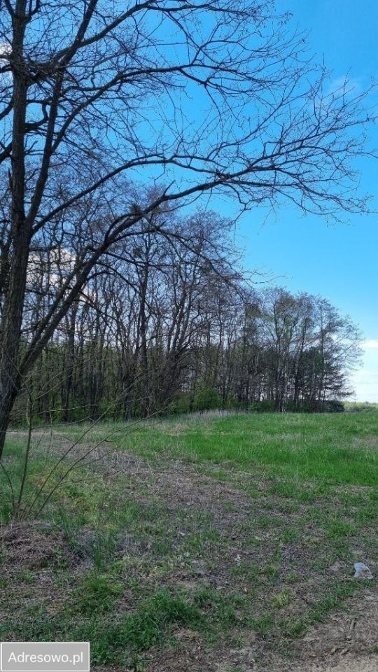 Działka rolna Antoniewo. Zdjęcie 2