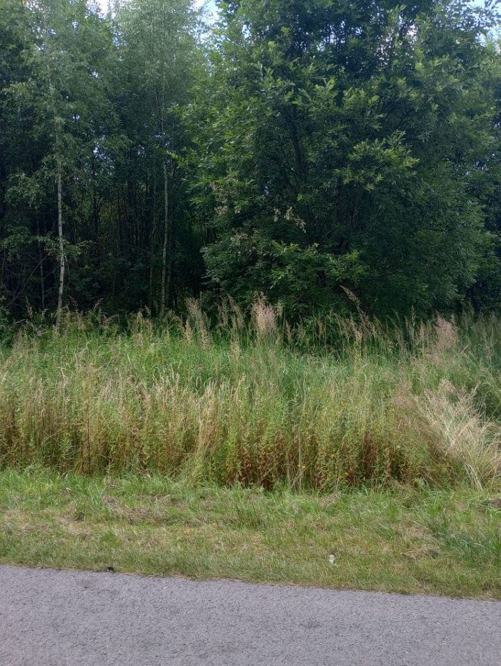 Działka rolna Marysin. Zdjęcie 6