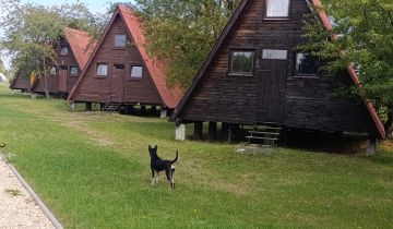 Działka rekreacyjna Suchy Bór