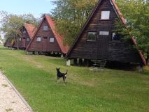 Działka rekreacyjna Suchy Bór. Zdjęcie 1