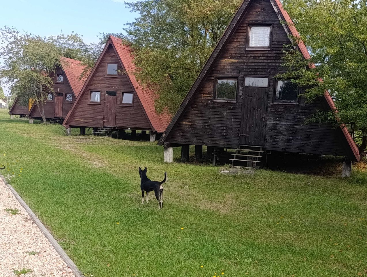 Działka rekreacyjna Suchy Bór. Zdjęcie 2