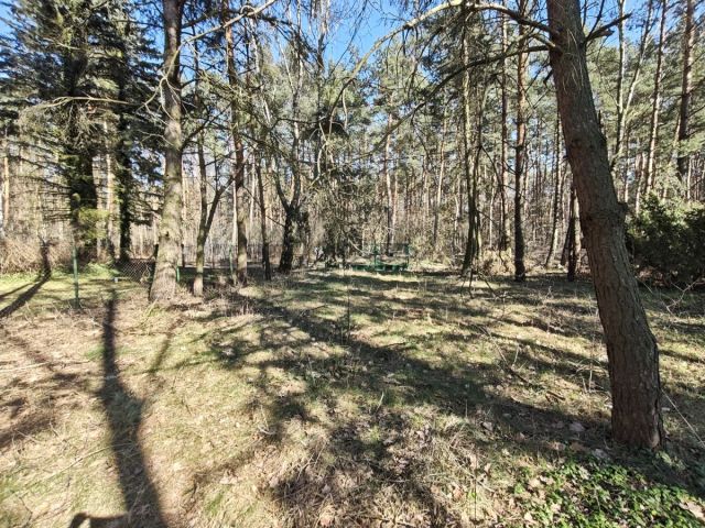 Działka budowlana Nowe Załubice, ul. Szumiących Traw. Zdjęcie 5