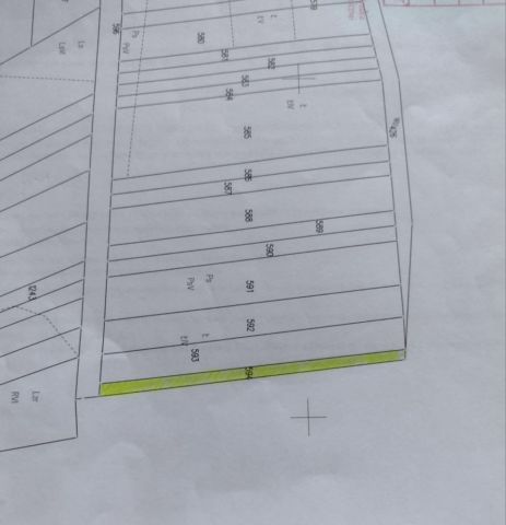 Działka leśna Leszczanka. Zdjęcie 1