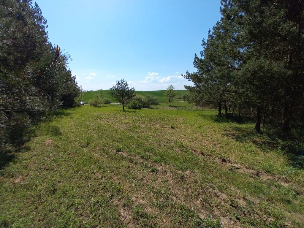 Działka siedliskowa Nowy Targ. Zdjęcie 8