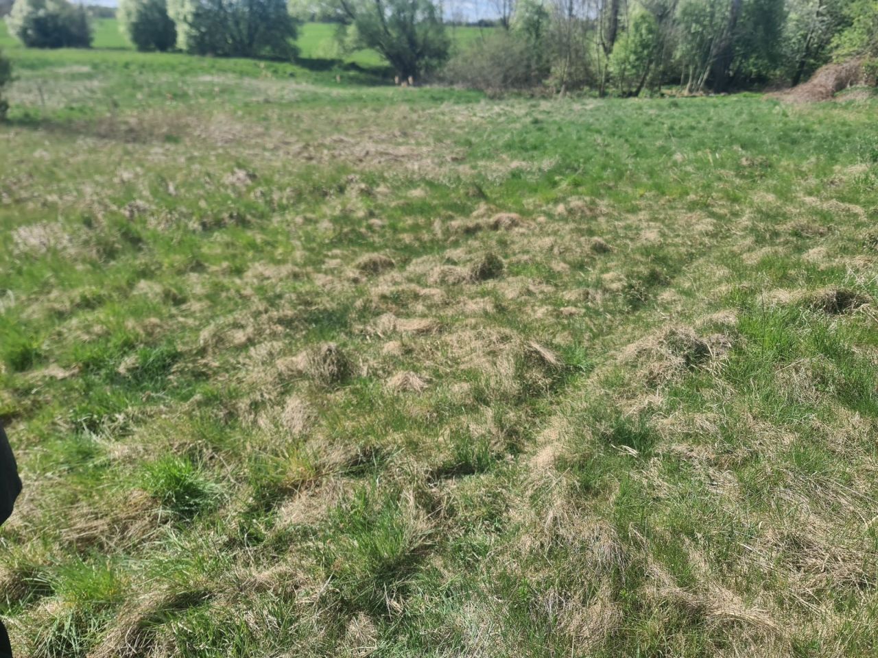 Działka rolna Barany. Zdjęcie 5