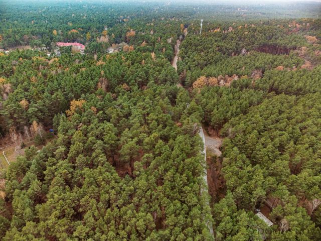 dom wolnostojący, 4 pokoje Wilga. Zdjęcie 23