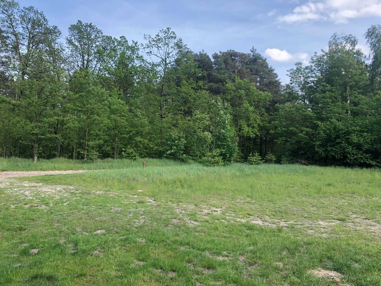 Działka Rożenno. Zdjęcie 8