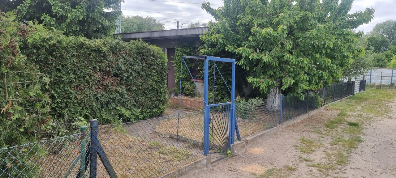 Działka rod Mosina. Zdjęcie 2