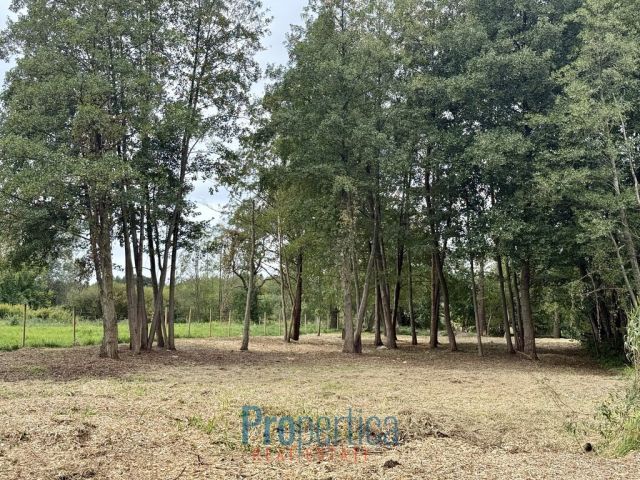 Działka Nowa Wieś, ul. Wandy. Zdjęcie 7