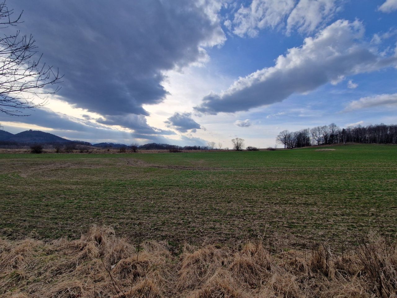 Działka rolna Radomierz. Zdjęcie 5