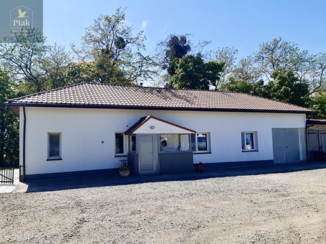 Działka budowlana Luciny. Zdjęcie 15