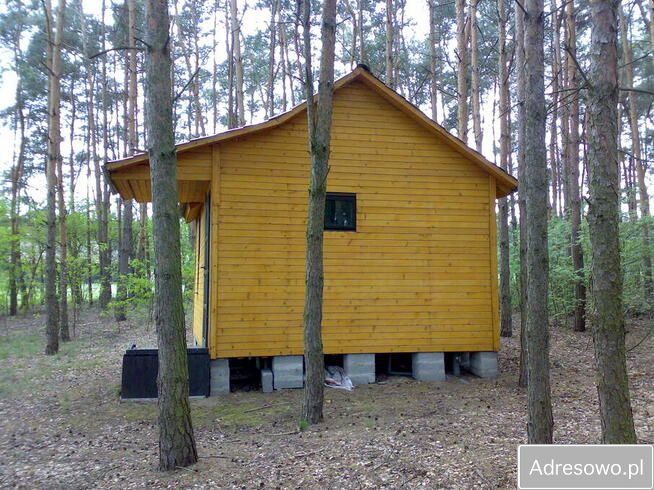 Działka leśna Boguszynek. Zdjęcie 2