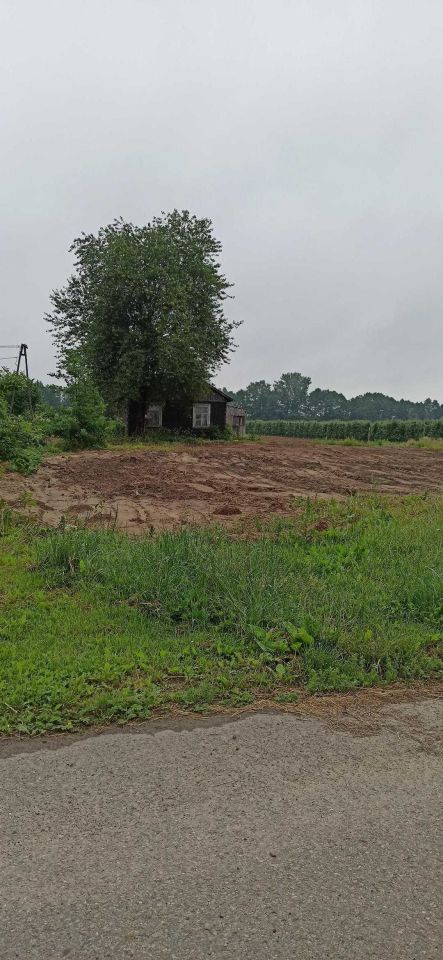 Działka siedliskowa Celejów. Zdjęcie 2