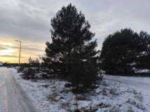 Działka budowlana Drużyna. Zdjęcie 1