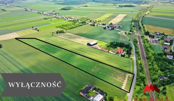 Działka rolna Gołaszewo