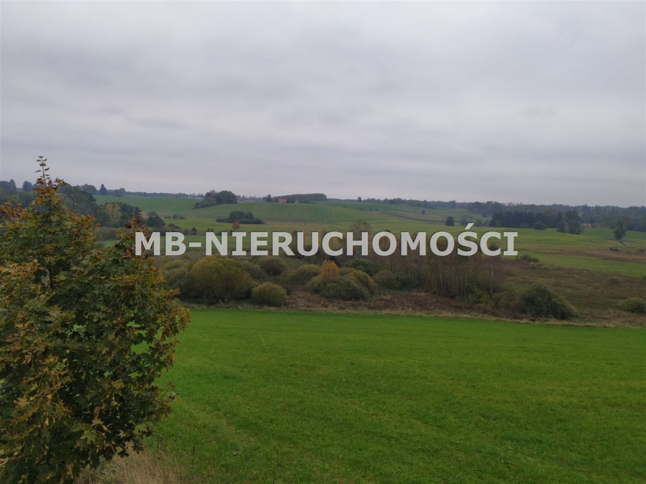 Działka rolna Sorkwity. Zdjęcie 8