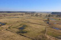 Działka rolna Stary Kraszew. Zdjęcie 1