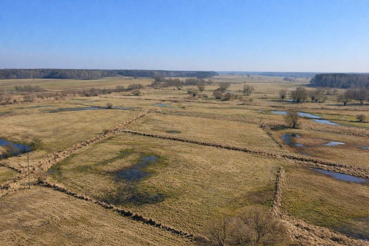 Działka rolna Stary Kraszew. Zdjęcie 2