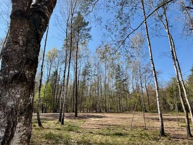 Działka budowlana Puste Łąki. Zdjęcie 8