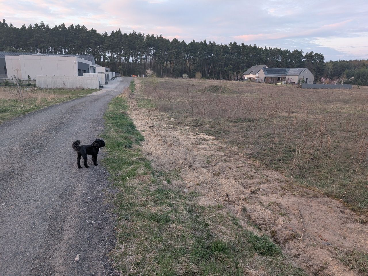 Działka budowlana Poznań Rataje, ul. Przyjemna. Zdjęcie 4
