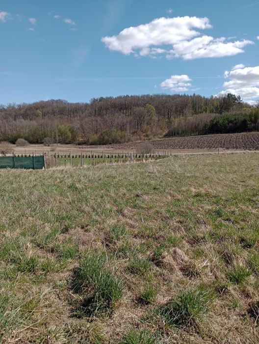 Działka budowlana Huta Dolna, ul. Żurawi Trakt. Zdjęcie 9