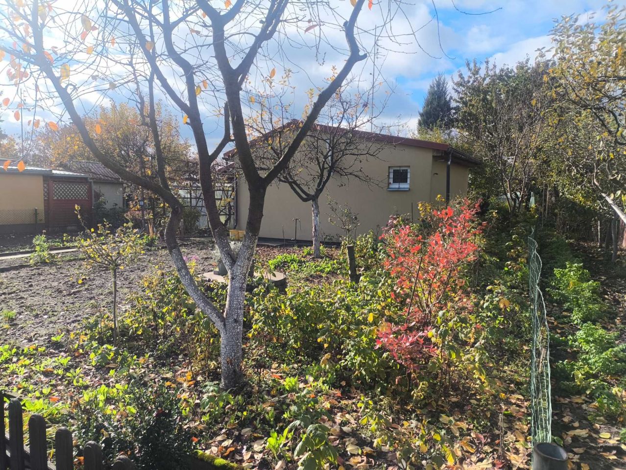 Działka rod Wągrowiec. Zdjęcie 2