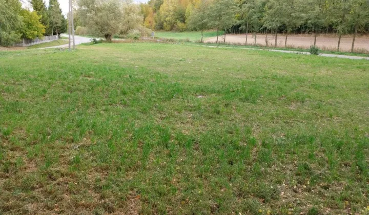 Działka budowlana Przybysławice