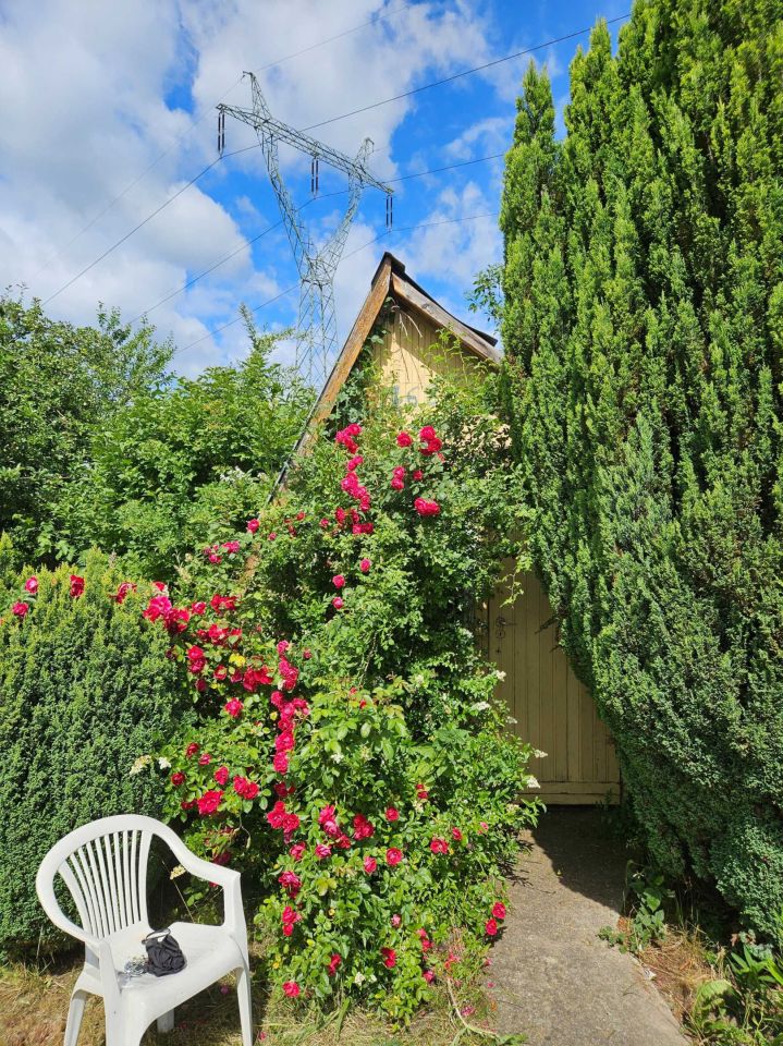 Działka rod Wałbrzych Podzamcze. Zdjęcie 3