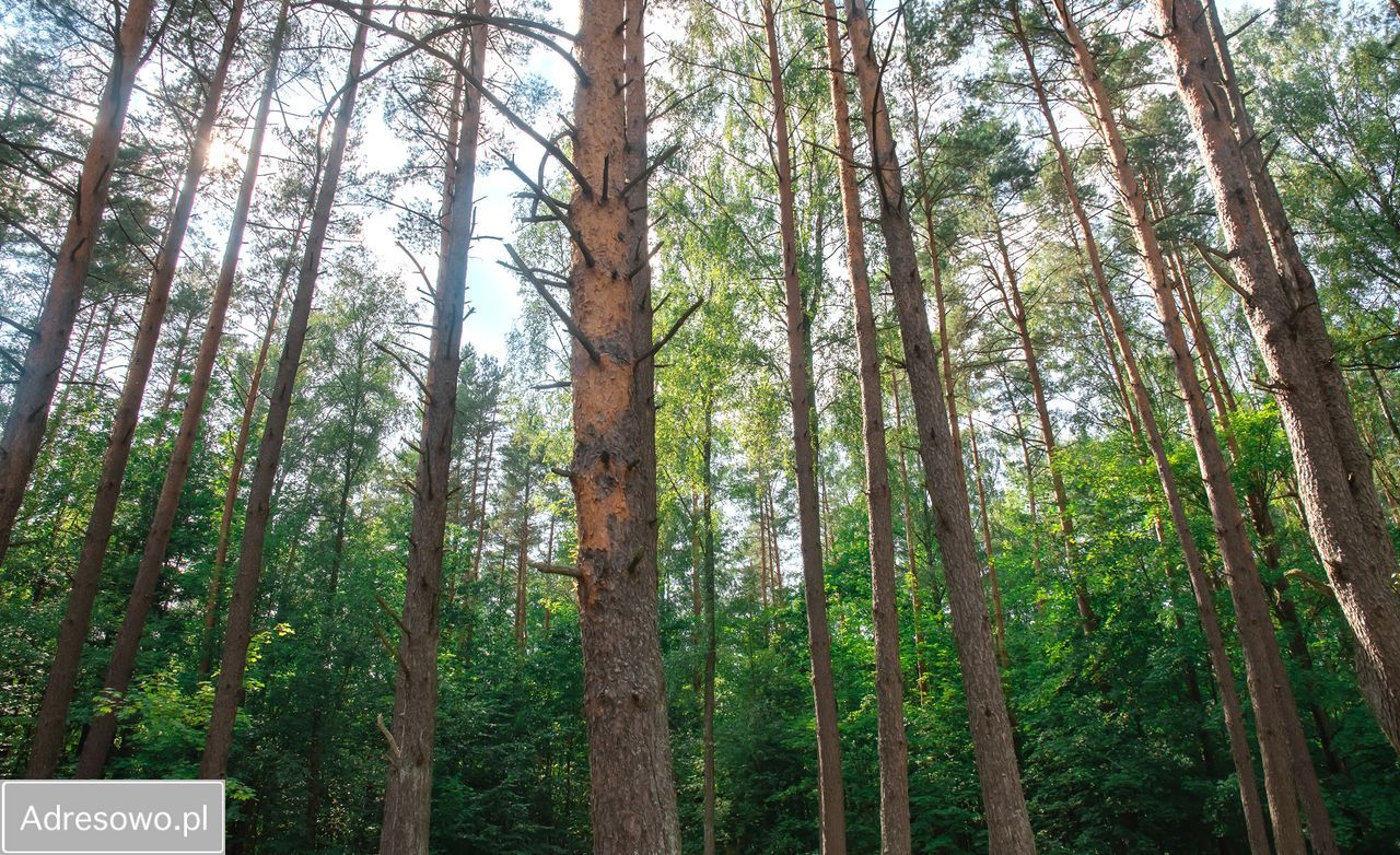 dom letniskowy, 3 pokoje Gołdap, ul. Wczasowa. Zdjęcie 15