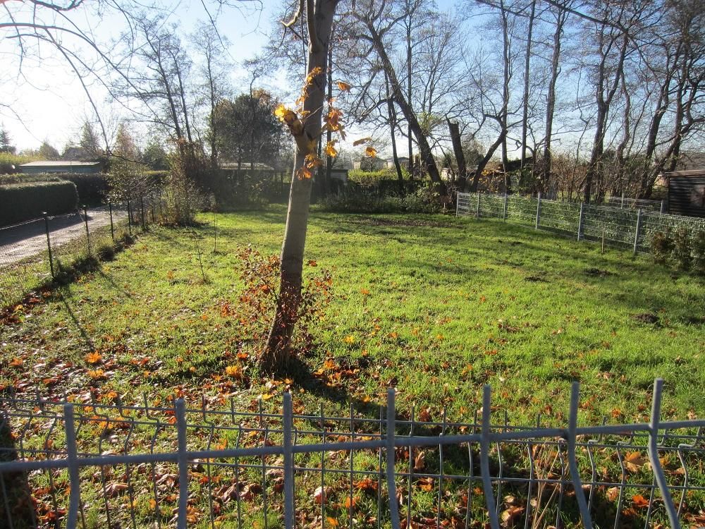 Działka rekreacyjna Gdańsk Górki Zachodnie, ul. Łowicka