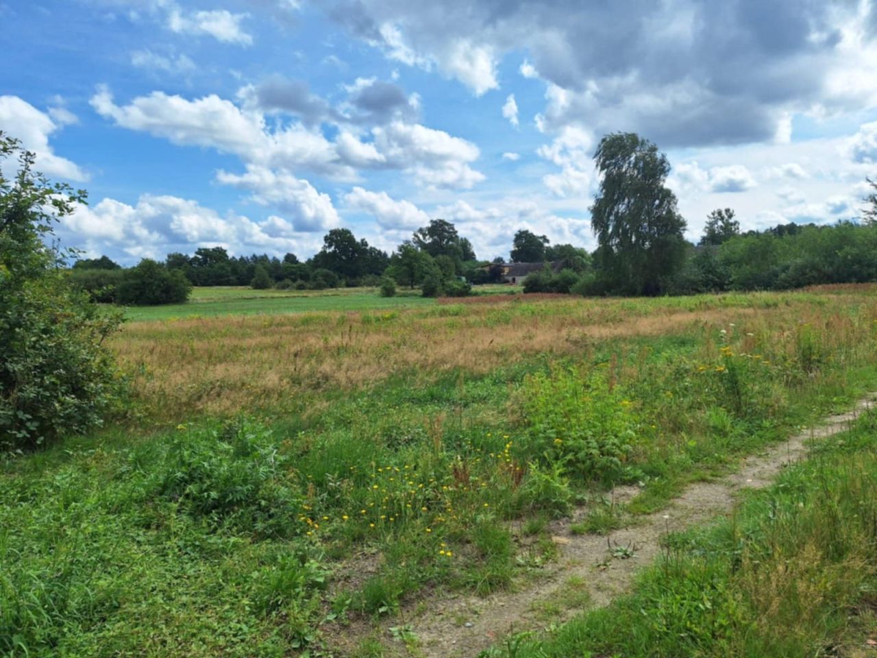 Działka budowlana Przybymierz, ul. Leśna. Zdjęcie 3