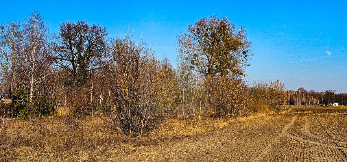 Działka inwestycyjna Grądy, ul. 3 Maja. Zdjęcie 2