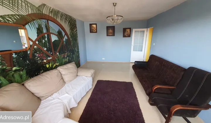 dom wolnostojący, 6 pokoi Łódź Polesie, ul. Zdrowie