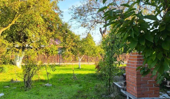 Działka rod Żory, ul. Okrężna