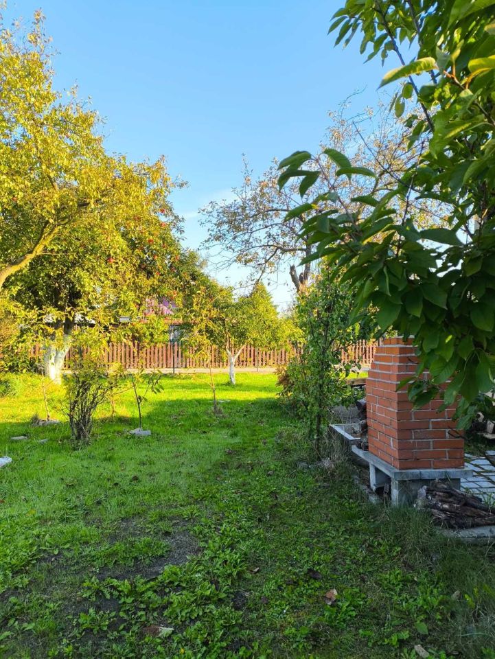 Działka rod Żory, ul. Okrężna. Zdjęcie 1