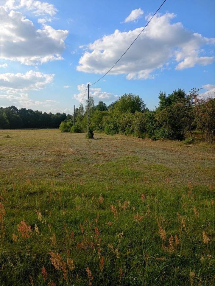 Działka budowlana Wola Chodkowska. Zdjęcie 5