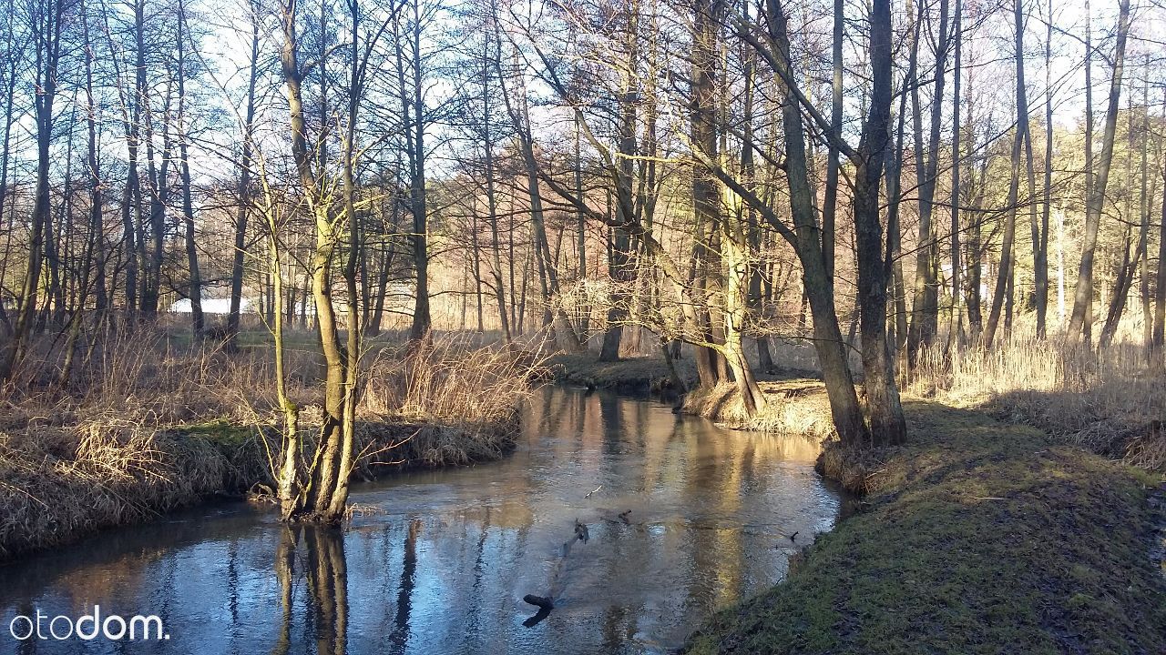 dom wolnostojący, 9 pokoi Przewodowice. Zdjęcie 8