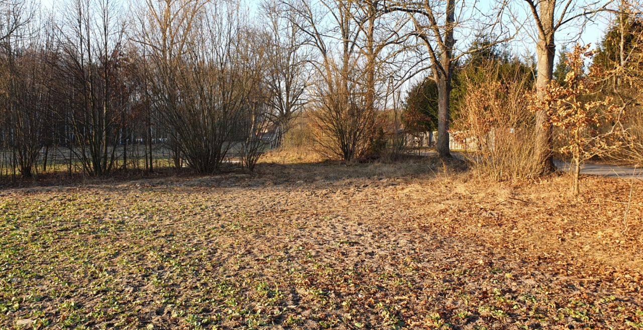 Działka budowlana Celiny. Zdjęcie 4