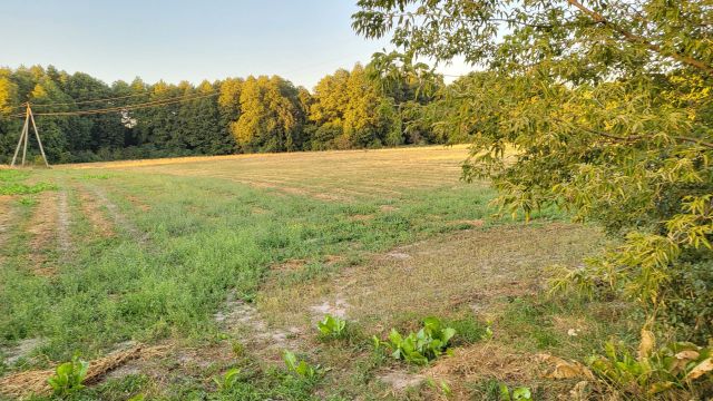Działka rolno-budowlana Puchaczów, ul. Leśna. Zdjęcie 1
