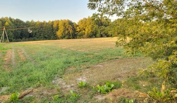Działka rolno-budowlana Puchaczów, ul. Leśna
