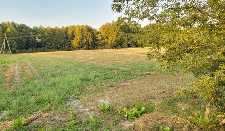 Działka rolno-budowlana Puchaczów, ul. Leśna