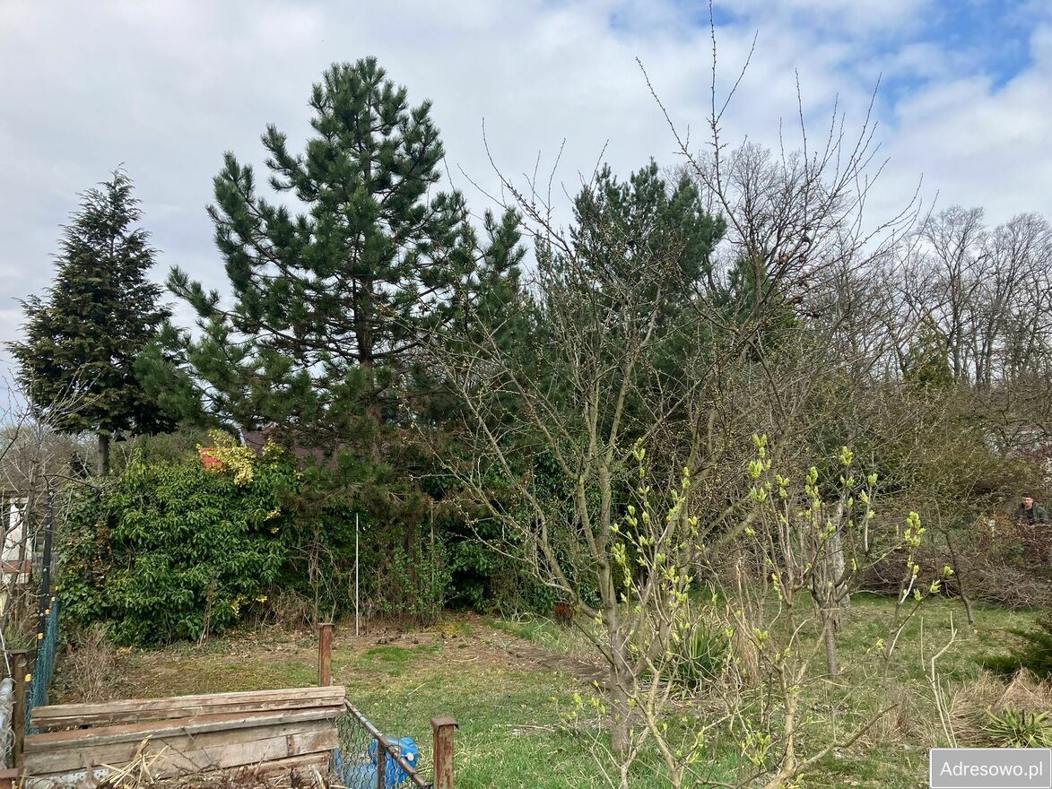 Działka rod Wrocław Pilczyce. Zdjęcie 7