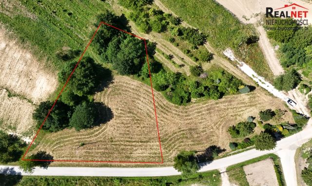 Działka rolno-budowlana Strzałków. Zdjęcie 1