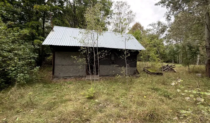 Działka rolno-budowlana Wilanowo
