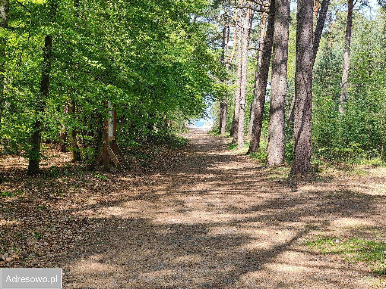 Działka budowlana Rusinowo. Zdjęcie 13