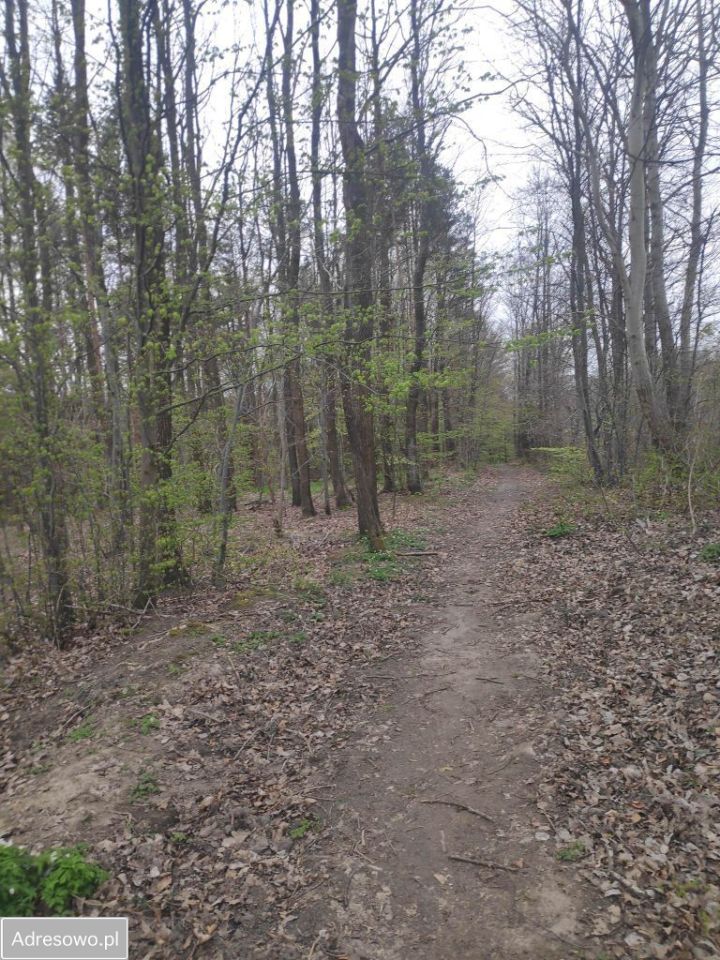 Działka inwestycyjna Gdynia Śródmieście. Zdjęcie 9